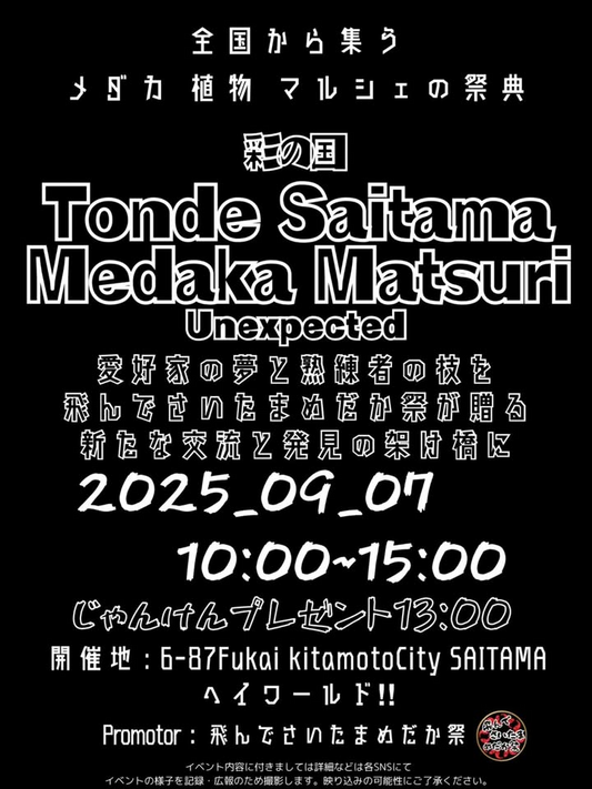 彩の国飛んでさいたまめだか祭2025が9月7日開催、北本市でメダカと植物の愛好家が全国から集結