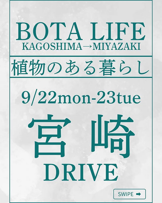 BOTA LIFE宮崎植物のある暮らしをDRIVEで開催、9月22日と23日に専門店が集結し街中で夜まで楽しめる催し