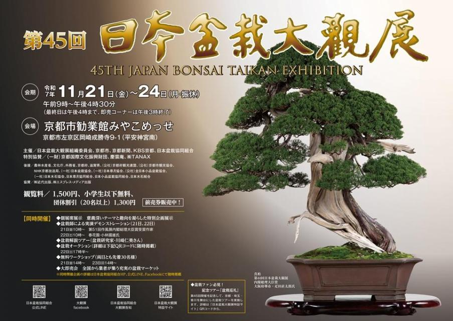 第45回日本盆栽大観展2025が京都で開催、松柏・雑木・皐月・小品盆栽と銘木・水石・名品の展示