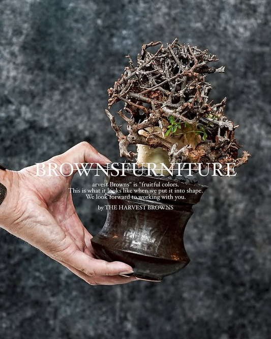THE HARVEST BROWNSが大阪POP-UP EVENTを開催、sou.plantsでbrowns furnitureと植え替え体験が植物愛好家の関心を集める