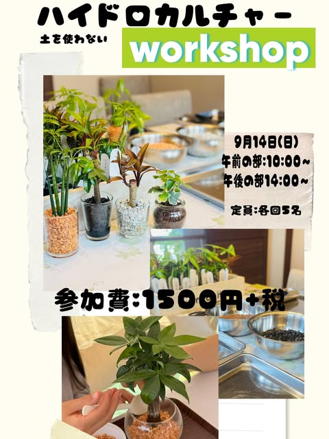 ゆくはし植物園がハイドロカルチャーワークショップを9月14日開催、土を使わない水耕栽培で植物インテリア制作