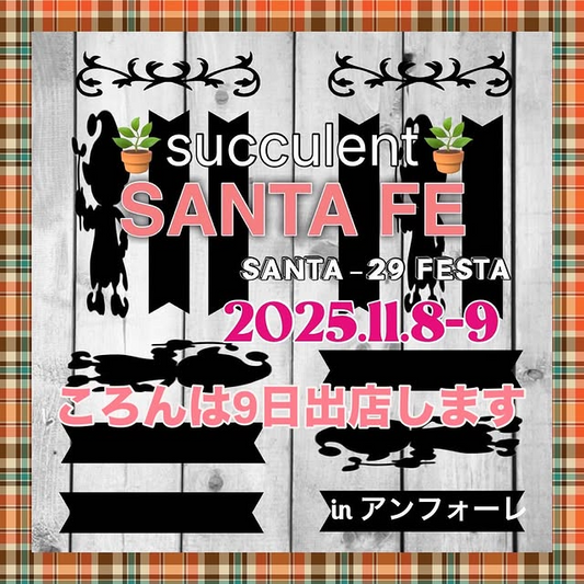 第18回SANTA_29 FESTA2025が愛知県安城市で11月8日・9日開催、80店舗以上の多肉植物・フード出店で初の2日間開催