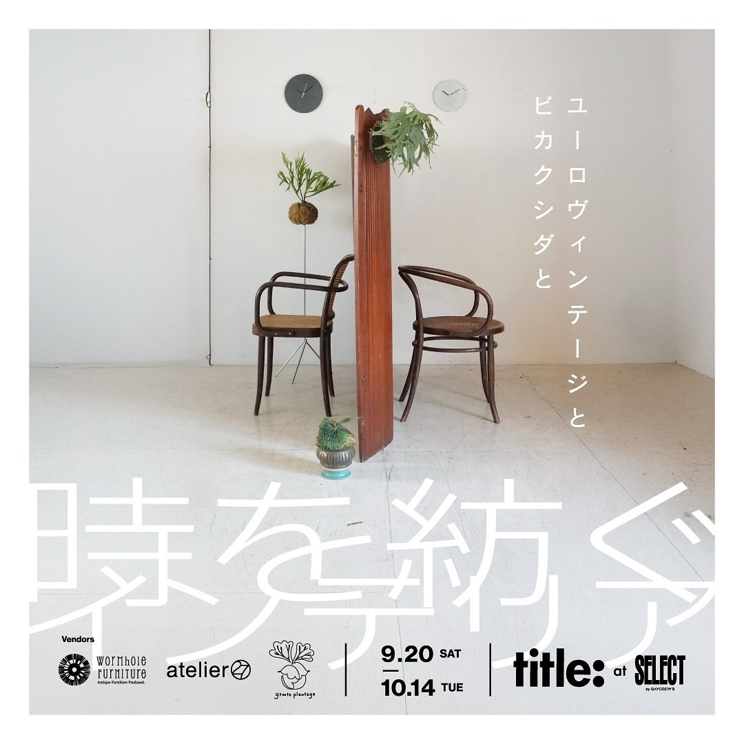 時を紡ぐインテリアが企画展を開催、ユーロヴィンテージとビカクシダの提案が虎ノ門で注目を集める