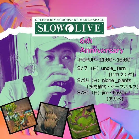 SLOWLIVEが6周年ゲスト販売会を開催、9月の盛岡で専門店が週替わりに来店