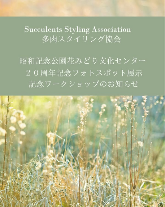 昭和記念公園花みどり文化センターが20周年記念事業で多肉植物の寄せ植えワークショップを開催、展示やSucculentsNoel連動企画が来場動機を高める