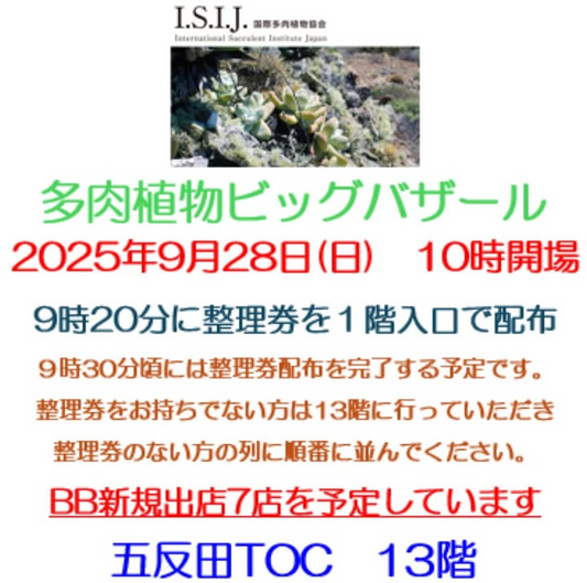 I.S.I.J.が9月のサボテン・多肉植物ビッグバザールを開催、五反田TOCで一般向け販売と交流に