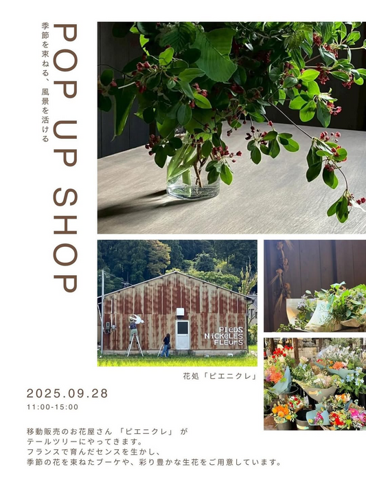 ビエニクレがPOPUPSHOPをテールツリーで開催、季節の花束と生花の提案が白山市の暮らしに彩り