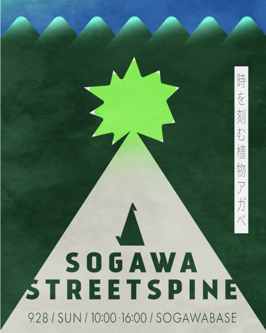 SOGAWA STREET SPINEが富山で植物マーケットを開催、Agaveと塊根の一日限りの集いが総曲輪に