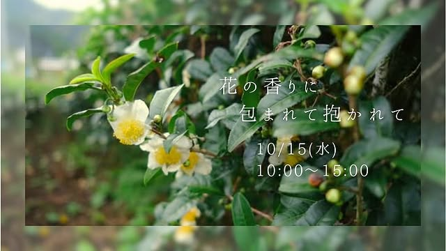 宮﨑茶房が花の香りに包まれて抱かれてを開催、お茶の花の植物蒸留と自愛の瞑想ストレッチが五ヶ瀬で体験に
