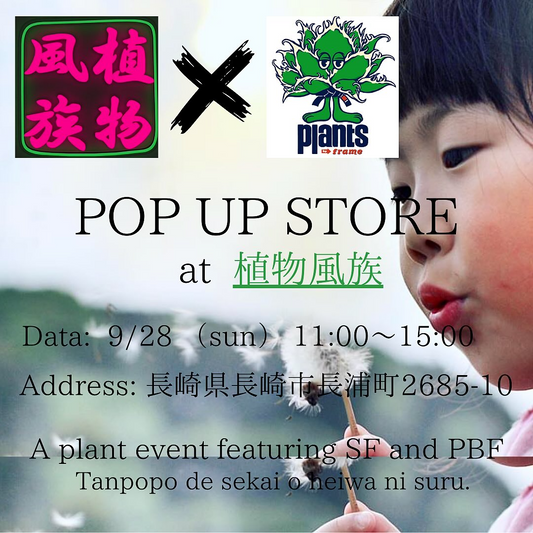 plants by frameがPOP UP STOREを開催、長崎市の植物風族で良質なオテロイとVALIEM鉢の販売に