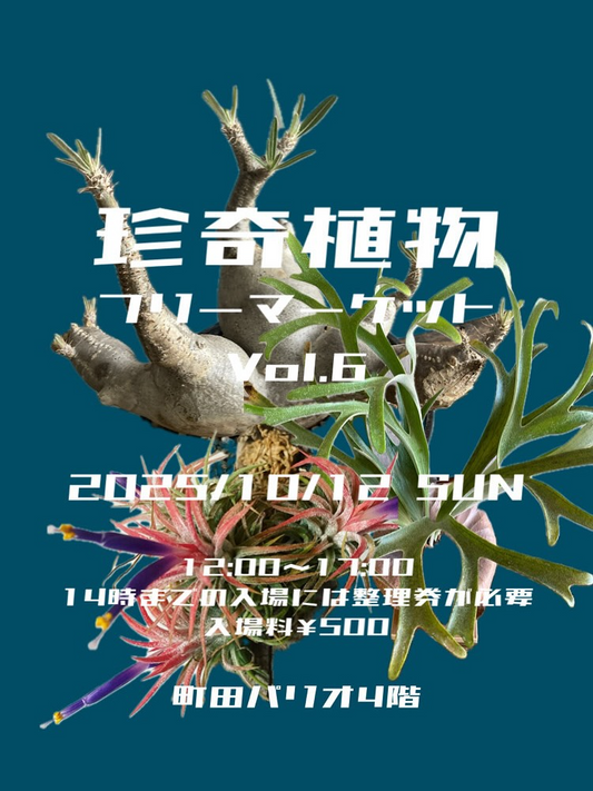 第6回珍奇植物フリーマーケット2025を開催、町田パリオ4階で整理券制導入と多彩な珍奇植物が集結に
