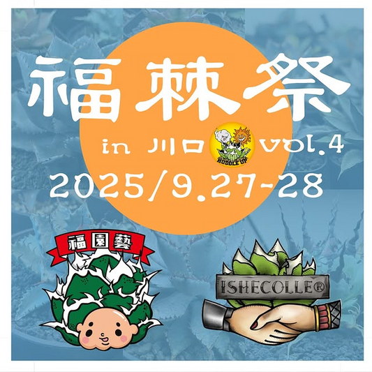 福棘祭vol.4が西川口でアガベオンリー即売会を開催、限定株と割引企画でアガベ愛好家の注目を集める