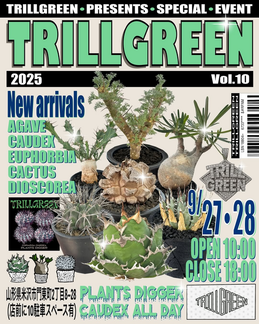 TRILLGREENがセールイベントを開催、アガベベアルート株や冬型コーデックスが入荷し東北の植物愛好家の購買意欲を喚起