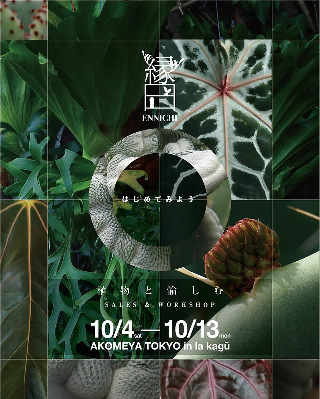 AKOMEYA TOKYO in la kagūが縁日2025を開催、植物と愉しむが暮らしとの調和を提案