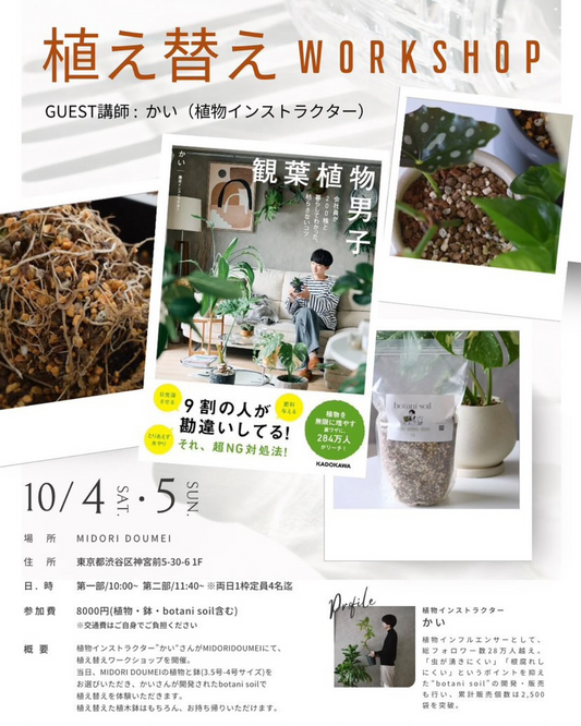 植物インストラクターかいが植え替えワークショップを実施、渋谷のMIDORIDOMEIで少人数制体験が学習効果を高める
