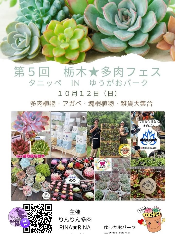 第5回栃木多肉フェス タニッペ2025が10月12日に開催、約40ブースで多肉 第5回栃木多肉フェス タニッペ2025が10月12日に開催、約40ブースで多肉