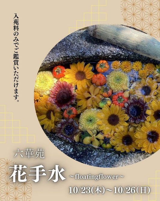 六華苑で花手水イベントを開催、ハロウィンテーマで7ヶ所の手水鉢を季節の花々で彩る10月限定企画