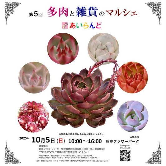 夢の島熱帯植物館がゆめねつハロウィン・ガーデンを開催、前庭広場の生カボチャ展示と館内体験が秋の来館動機に