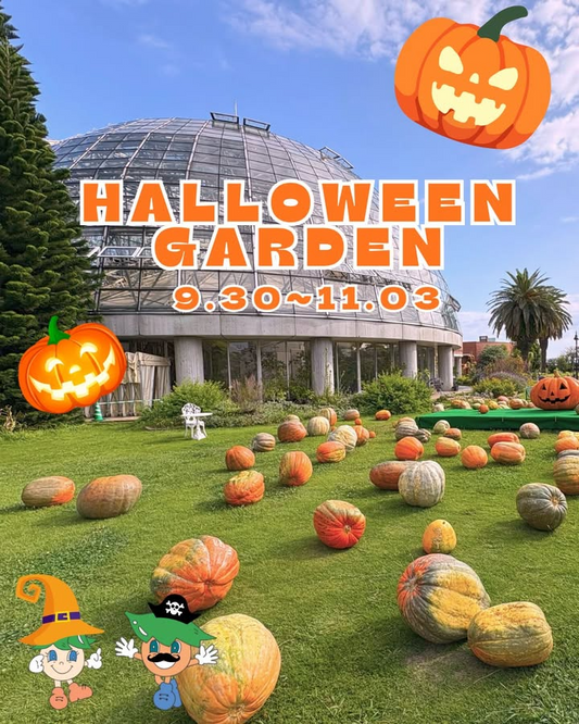 夢の島熱帯植物館がゆめねつハロウィン・ガーデン2025を開催、前庭広場の生カボチャ展示と館内企画が秋の来館動機に