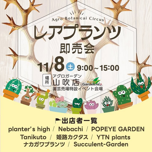 アグロガーデン山吹店がレアプランツ即売会を開催、姫路の特設会場で希少植物と8組出店者が集結