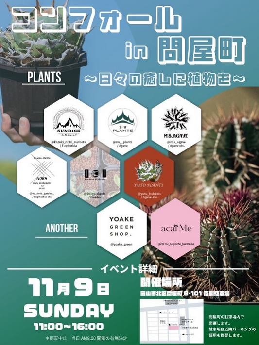 コンフォールin問屋町2025が珍奇植物イベントを開催、岡山市問屋町で育て方を学び購入できる機会が初心者の不安解消に