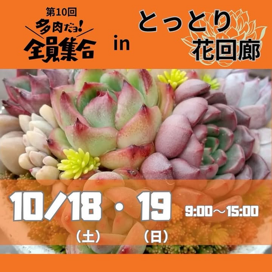 第9回多肉だョ全員集合がとっとり花回廊で2日間開催、両日と日別の出店者が集結し多肉シーズンの注目を集める
