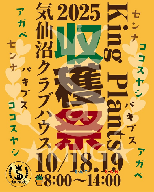 KingPlantsが収穫祭を開催、気仙沼クラブハウスで畑掘り体験と限定拡大量鉢の先行発売が注目を集める