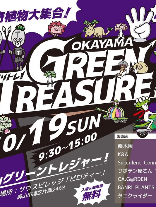 OKAYAMAGREENTREASUREが販売会を開催、岡山市サウスヴィレッジで多肉とコーデックスが集結し愛好家の注目を集める