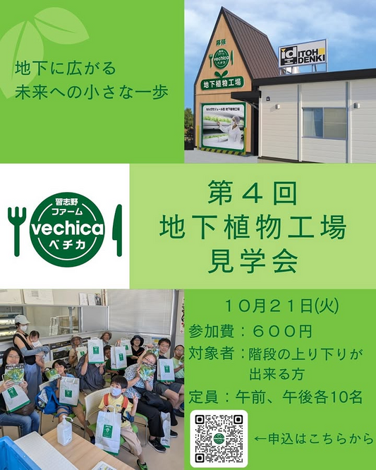 伊東電機習志野ファームベチカが第4回地下植物工場見学会を開催、人工光型栽培の現場公開が地域の学びに