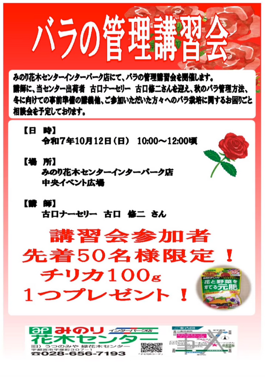 みのり花木センターインターパーク店がバラの管理講習会2025を開催、古口ナーセリーの指導で秋管理と冬支度を学ぶ