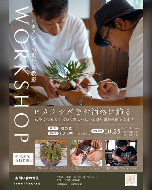 上野グリーンクラブがビカクシダの板付け教室を開催、10月25日の二部制で各回12名が実技を学び室内装飾に生かす