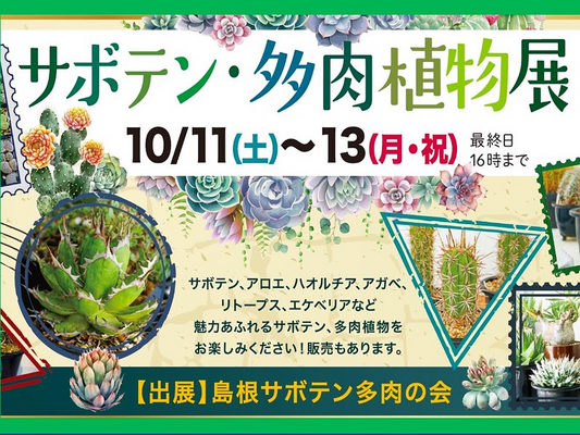しまね花の郷がサボテン多肉植物展を開催、島根サボテン多肉の会の展示販売が出雲の連休に集客を高める