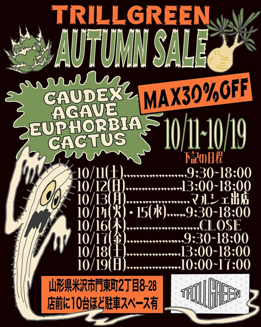 TRILLGREENがAUTUMN SALEを開催、塊根植物やアガベの最大30%OFFが米沢市で愛好家の購買意欲を高める