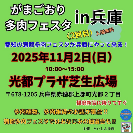 蒲郡多肉フェスタが兵庫で開催を実施、がまごおり多肉フェスタin兵庫が抽選企画で多肉愛好家の注目を集める2025