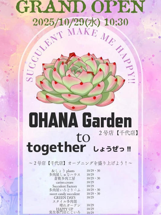 OHANA Garden 2号店千代店がグランドオープンを実施、北本団地商店街エンバイボックスで多肉関連出店が集結