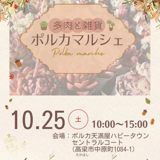 多肉と雑貨ポルカマルシェ2025が開催、OTK PLANTSなど多彩な出店が高梁の商業施設で販売と体験を提供