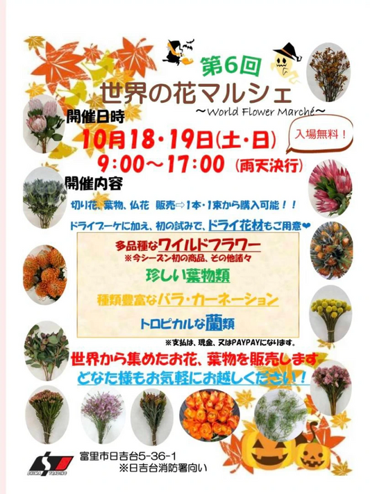 第6回世界の花マルシェが輸入切花販売を実施、千葉富里で2025年10月に多品種とワイルドフラワーが来場者の関心を集める