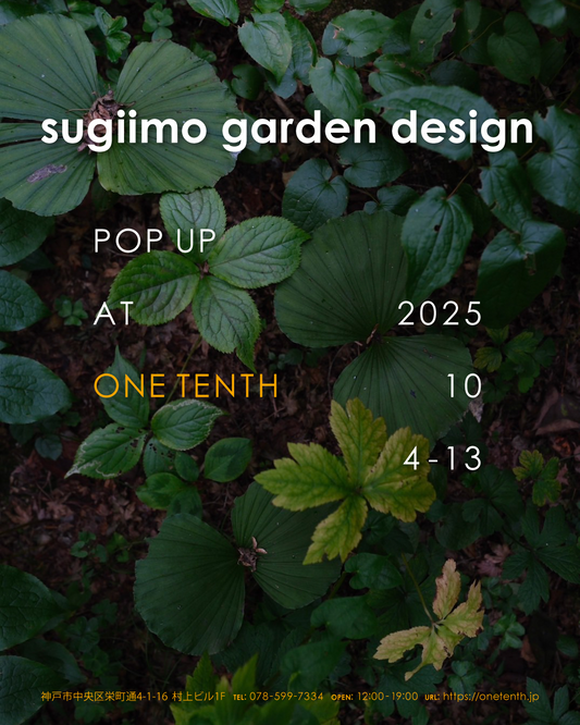 sugiimo garden designがPOPUPを開催、ONE TENTH店内で室内鉢植えと庭木を展示販売し神戸の来店体験に寄与