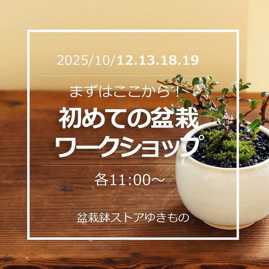 盆栽鉢ストアゆきものが初めての盆栽ワークショップを開催、各回2名の少人数制で基礎から学べる実地体験が初心者の関心を集める