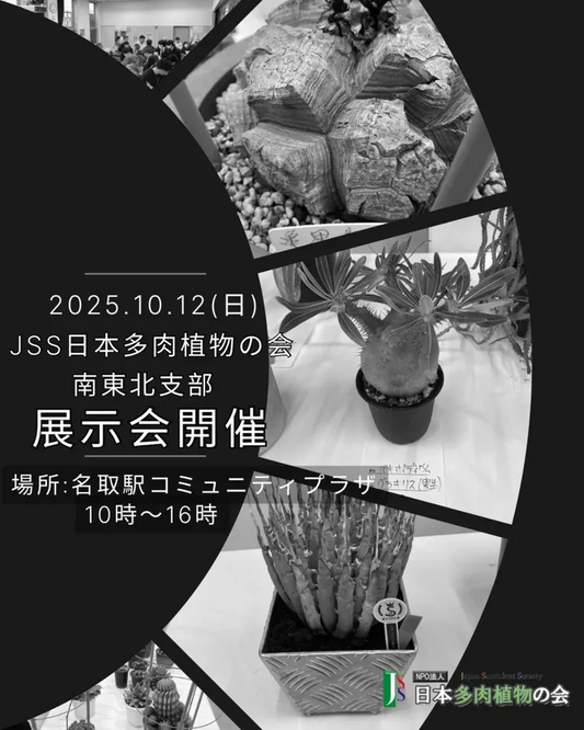 JSS日本多肉植物の会南東北支部が展示会を開催、JR名取駅コミュニティプラザで入場無料の展示相談即売が関心を集める