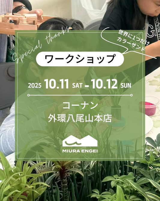 三浦園芸がハイドロカルチャー苗×カラーサンド植え込みワークショップを開催、コーナン外環八尾山本店で連休の体験需要に応える