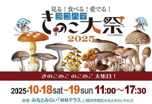 ヨコハマきのこ大祭2025がMMテラスで開催、見て食べて愛でる横浜のみなとみらいの祭典