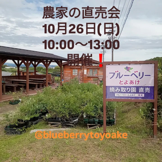 ブルーベリーとよあけが2025年度秋農家の直売会を開催、愛知いしかわ菜園やキッチンとくだが豊明で出店し来場者の注目を集める