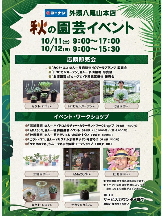 コーナン外環八尾山本店が秋の園芸イベントを開催、多肉やアロイドの即売と体験型ワークショップが八尾で注目を集める