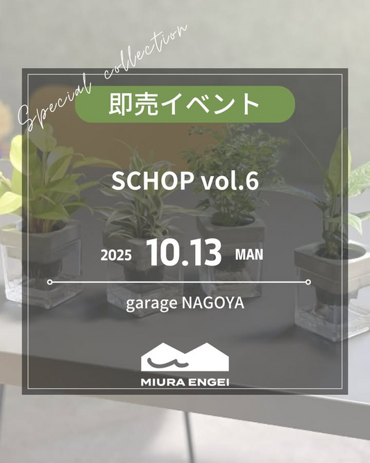三浦園芸がSCHOP Vol.6で即売を実施、garage NAGOYAでハイドロカルチャーと観葉の魅力が来場者の関心を集める