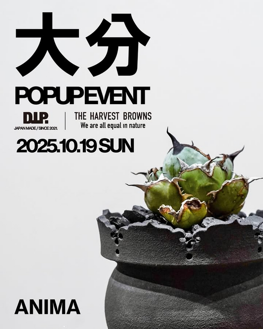 ANIMAがPOP-UPEVENTin大分2025を開催、無料植え替えとAgave展示販売が来場者の関心を集める