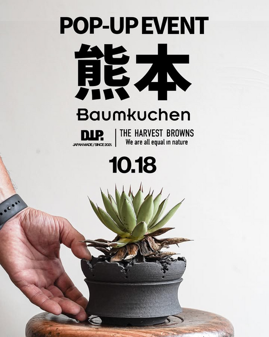 BaumkuchenがPOP-UPEVENTin熊本2025を開催、無料植え替えとAgave展示販売が来場者の関心を集める