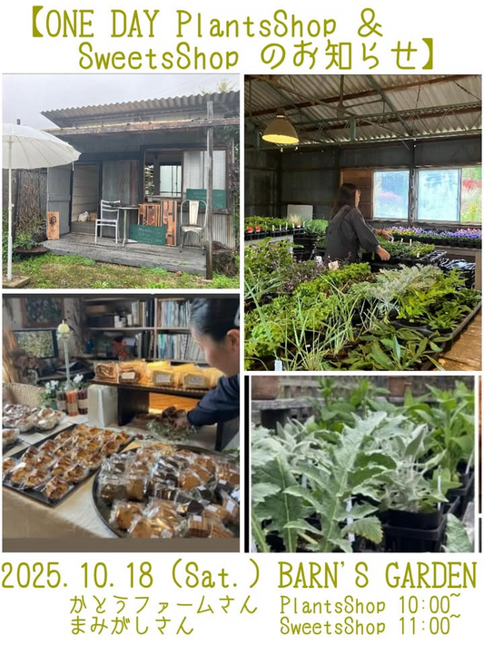 かとうファームが出張販売を実施、ONE DAY PlantsShop&SweetsShop2025がGARDENSOILで開催