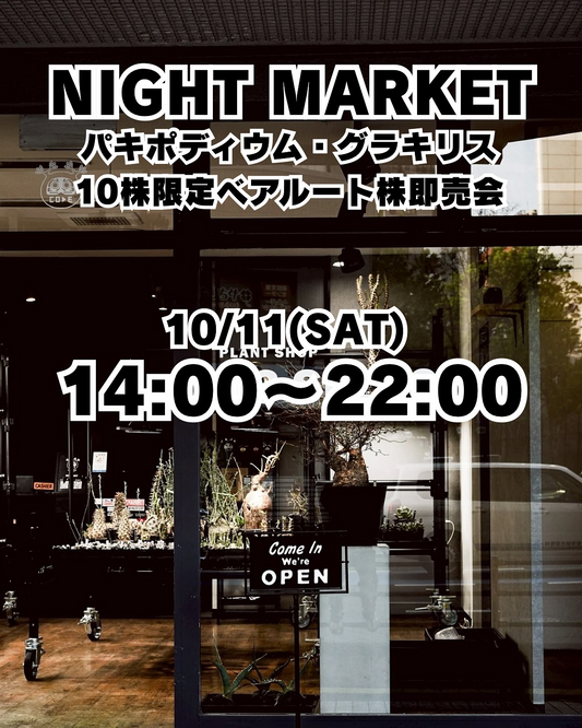 N3SELECTがNIGHTMARKET2025を開催、10月11日の特別営業とグラキリス即売会が来店動機に