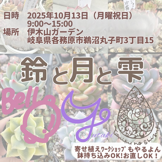 伊木山ガーデンが販売会と寄せ植えWSを実施、黒ポット苗と使い放題のちび苗で持ち込み直しに対応